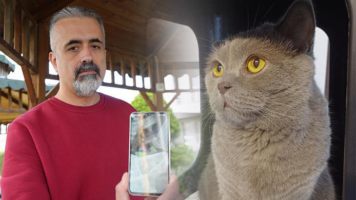 Aile CİMER’e başvurdu! Açıklama geldi: Bu aşı yüzünden çok fazla köpek ve kedi telef oldu