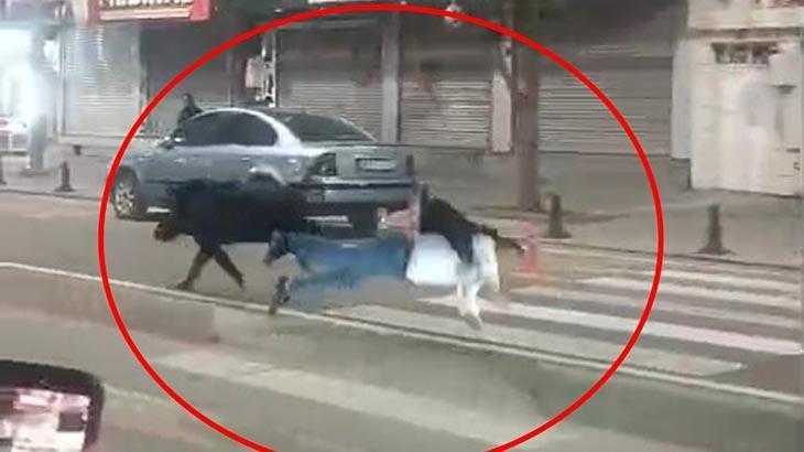 Kent merkezine inen domuz 3 kişiye saldırdı!