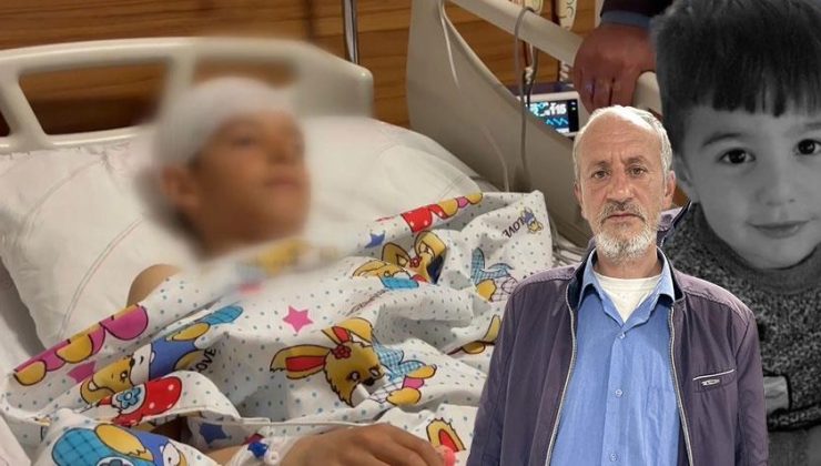 Van'da sokak köpeği dehşeti! Küçük Hamza hayatını kaybetti, canını zor kurtaran Ayaz: Beni görünce koşup geldiler