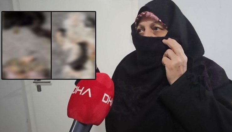 Başakşehir’de vahşet! 4 kedi yavrusu parçalanarak öldürüldü