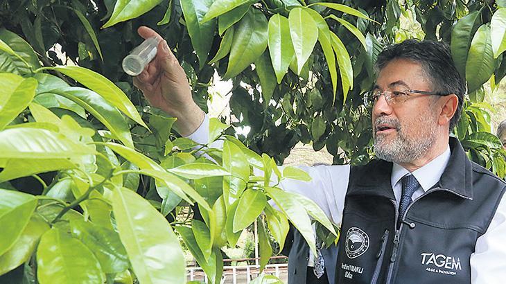 Bakan Yumaklı: 17 farklı türde 39 yeni bitki çeşidi tescil edildi! Tohumda bağımsız Türkiye