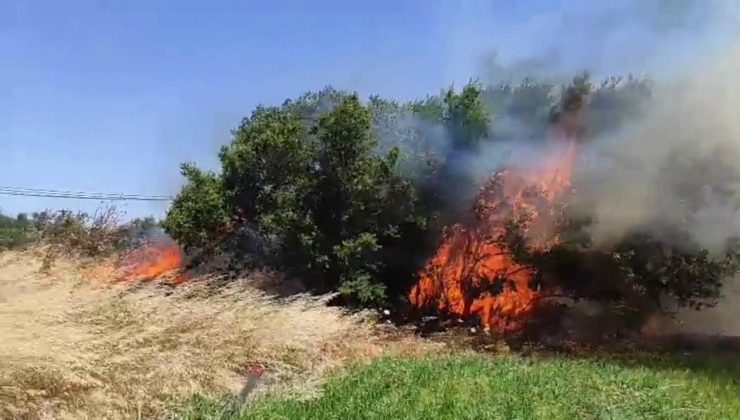 Çanakkale'de korkutan yangın! Alevler rüzgarla büyüdü