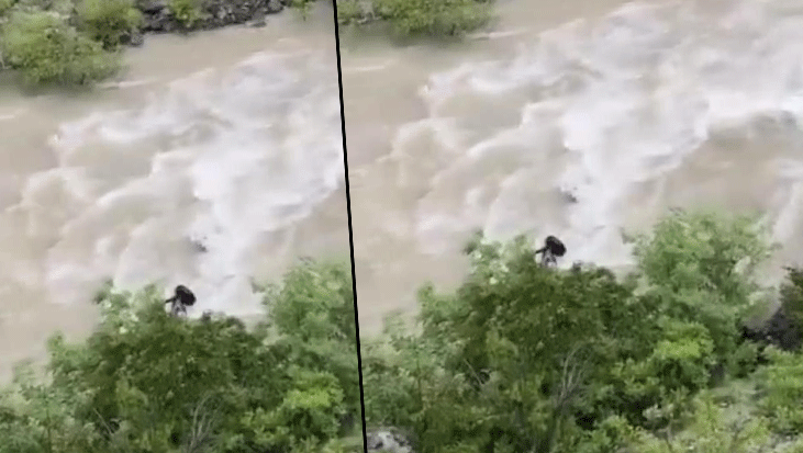 Otomobil Çoruh Nehri'ne düştü: Baba ile oğlu aranıyor