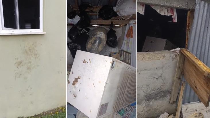 Rize Çamlıhemşin'de ayı paniği: 20 eve girdi, yayla sakinleri canından bezdi
