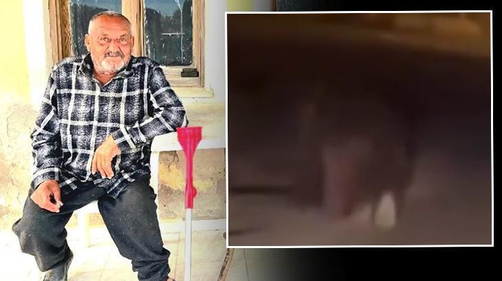 Balkondan alıp 20 metre sürükledi! İzmir'de ayı dehşeti… Yaşlı adam hayatını kaybetti