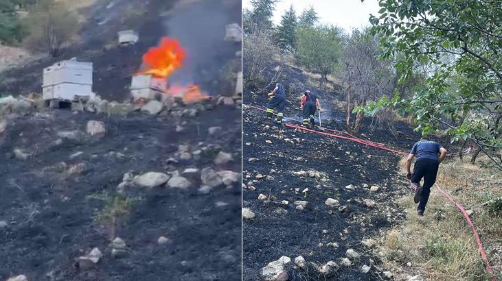 İtfaiyecilere arılar saldırdı! Isparta’daki yangında ekiplerin zorlu mücadelesi