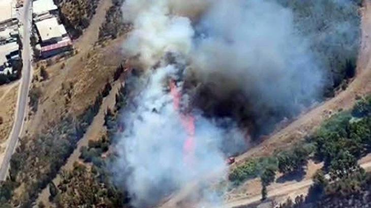 İzmir’de otluk alanda çıkan yangın ormana sıçradı