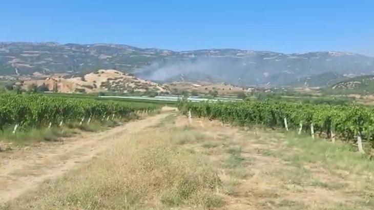 Manisa'daki orman yangını kontrol altına alındı