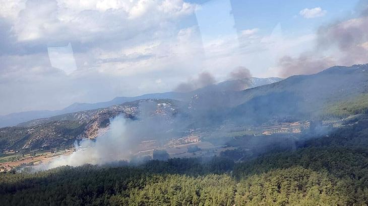 Muğla’da tarım arazisinde başlayan yangın ormana sıçradı