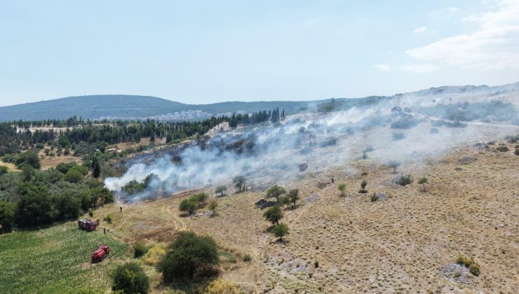 Muğla'da orman ve tarım alanında çıkan yangına müdahale ediliyor