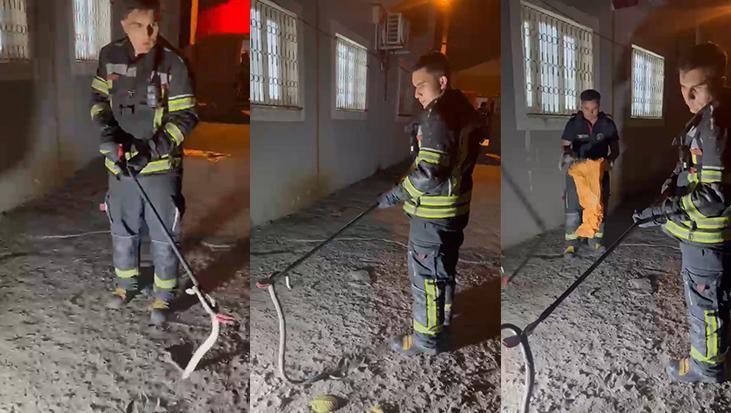 Osmaniye’de zehirli engerek paniği! Eve girmeye çalışan yılan son anda yakalandı