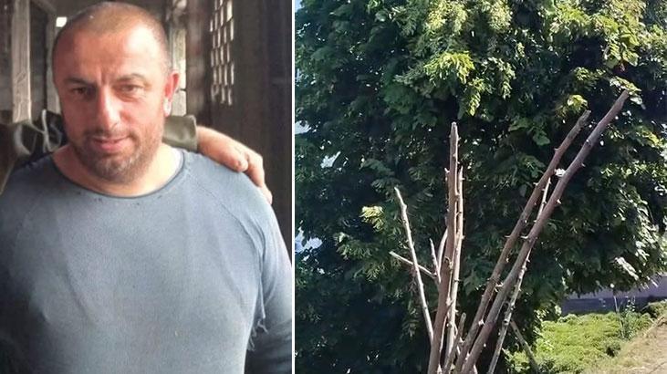 Rize'de budamaya çıktığı ağaçta akıma kapılıp kişi öldü