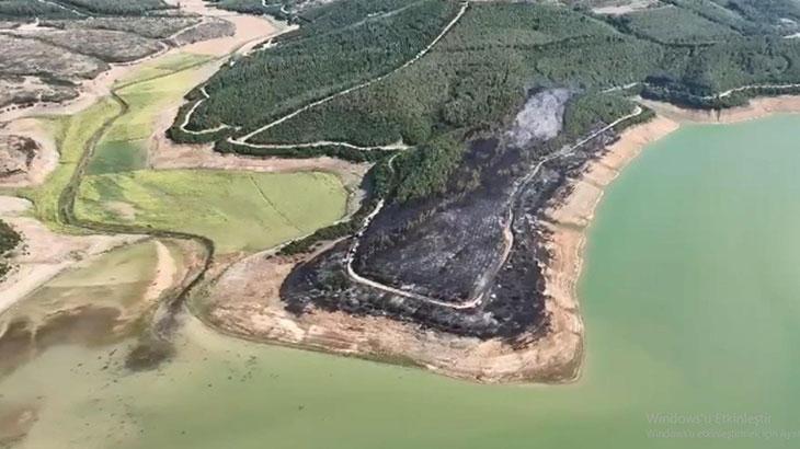Tekirdağ’da yangında 80 dekar orman zarar gördü