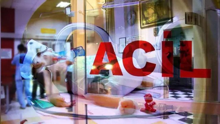 Yalova'da feci olay! Baba ile oğlu elektrik akımına kapılarak hayatını kaybetti