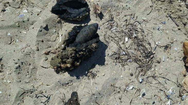 Çanakkale’de halk plajında patlamamış top mermisi bulundu