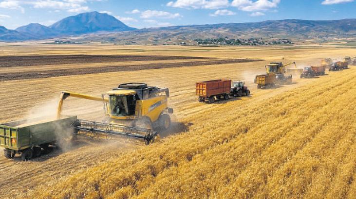 İçeride TMO desteği, dışarıda ‘Karadeniz’ krizi fiyatı artırıyor! Buğdayda rekor karşılık buldu