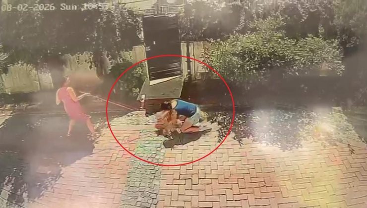 Sitede pitbull dehşeti! Küçük kızın gözleri önünde köpeğini ısırdı