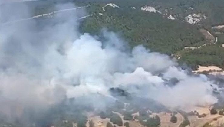 Balıkesir’de korkutan yangın! Alevler ormana sıçradı