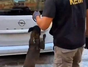 Balıkesir’de 109 bin adet sentetik ecza hapı ele geçirildi