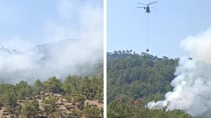 Son dakika… Adana Kozan’da orman yangını