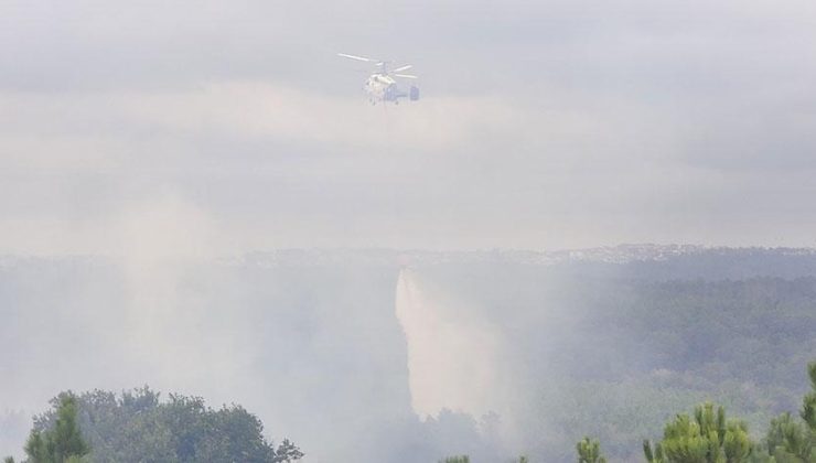 Son dakika… İstanbul’da orman yangını! Alevlere havadan müdahale başladı