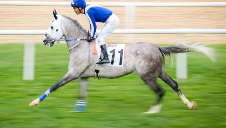 46. Cumhuriyet Koşusu’nu efsane safkan Özmen Bey kazandı