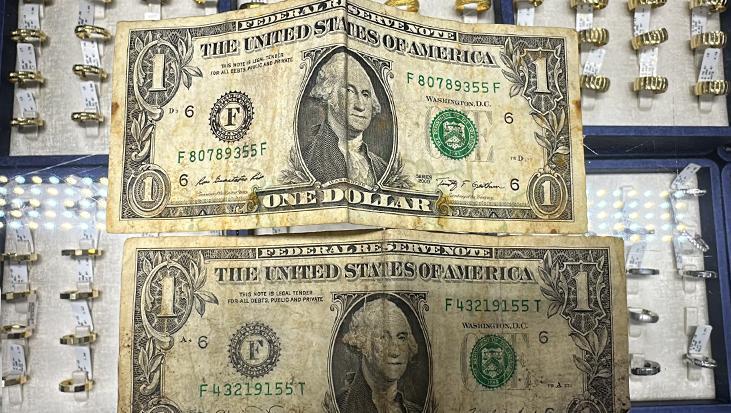 Alihan Kuriş suç örgütü soruşturmasında yeni gelişme! Çelik kasada F serisi 5 adet 1 dolar bulundu