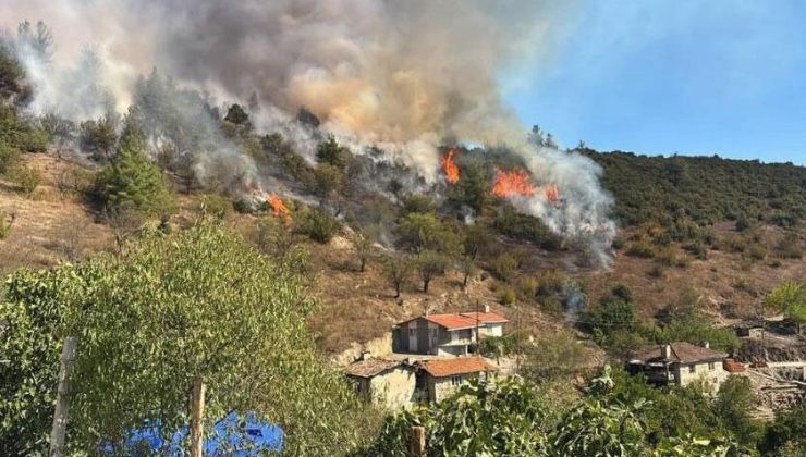 Bursa’da orman yangını! Alevler evlerin yakınına ulaştı
