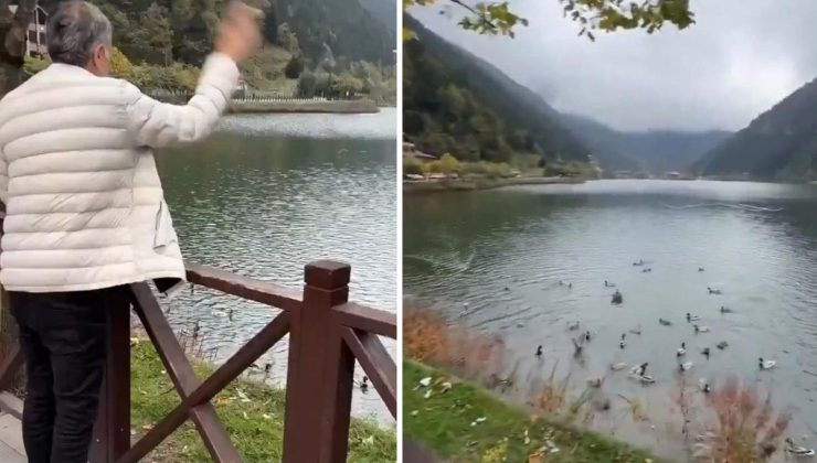 Şenol Güneş ördekleri besledi, yorumu yine kendine has oldu