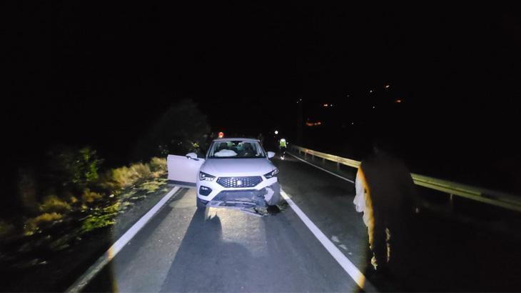Tunceli-Erzincan kara yolunda aniden yola fırladı! Cipin çarptığı ayı öldü